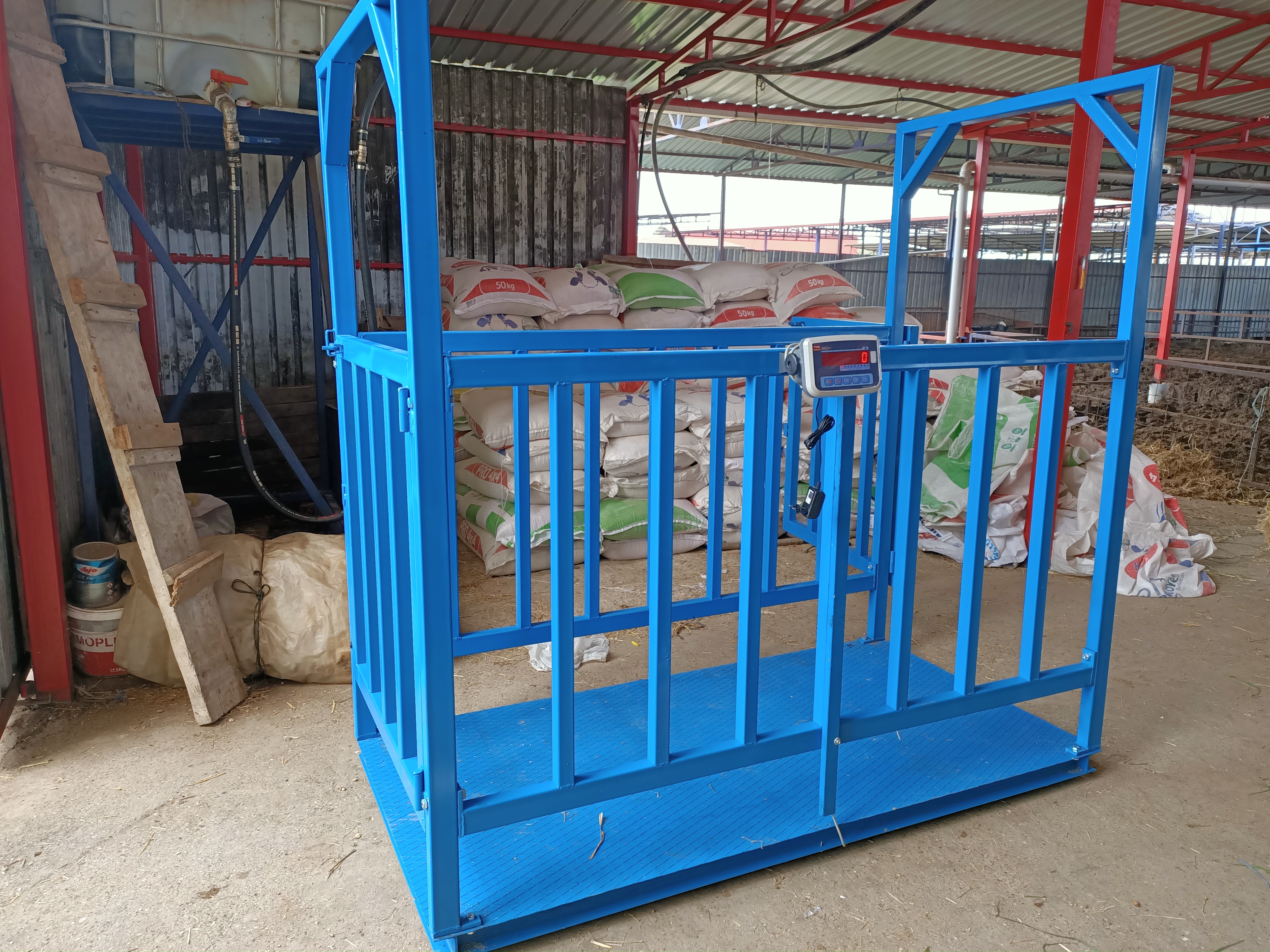 canlı hayvan baskülü büyük baş